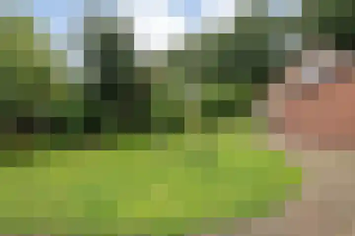 Stegerensallee 14 Dedemsvaart thumbnail 32