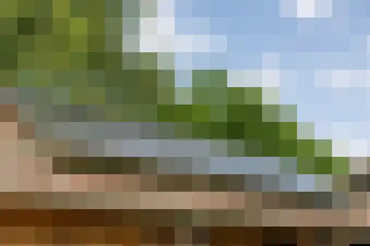 Stegerensallee 14 Dedemsvaart thumbnail 33