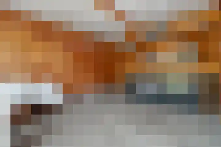 Stegerensallee 14 Dedemsvaart thumbnail 34