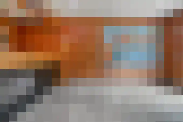 Stegerensallee 14 Dedemsvaart thumbnail 35