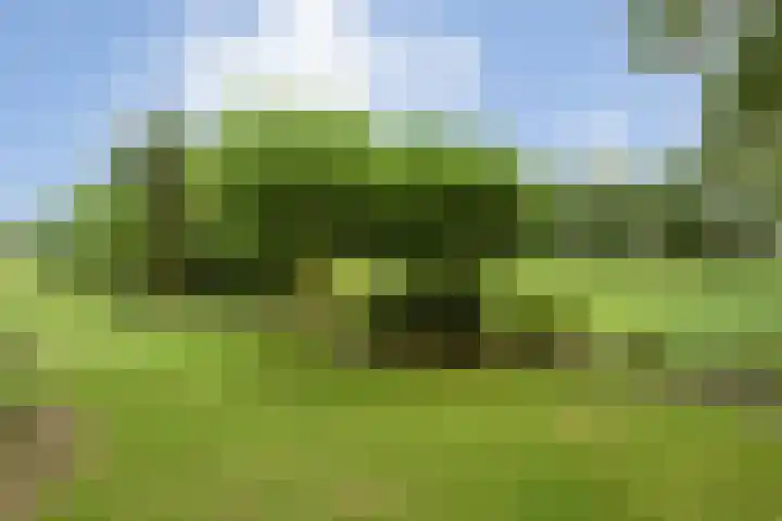 Stegerensallee 14 Dedemsvaart thumbnail 36