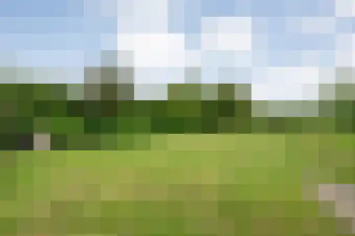 Stegerensallee 14 Dedemsvaart thumbnail 37