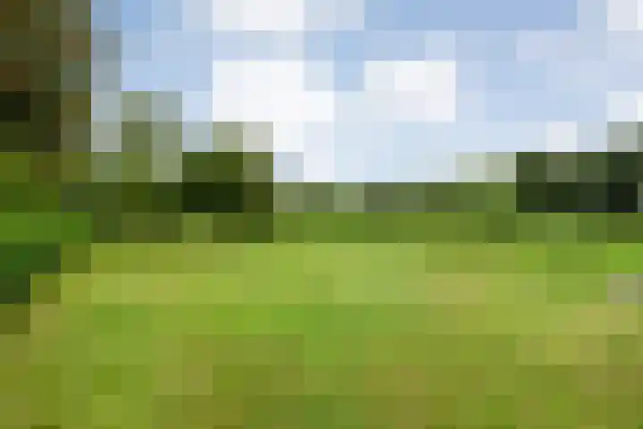 Stegerensallee 14 Dedemsvaart thumbnail 38