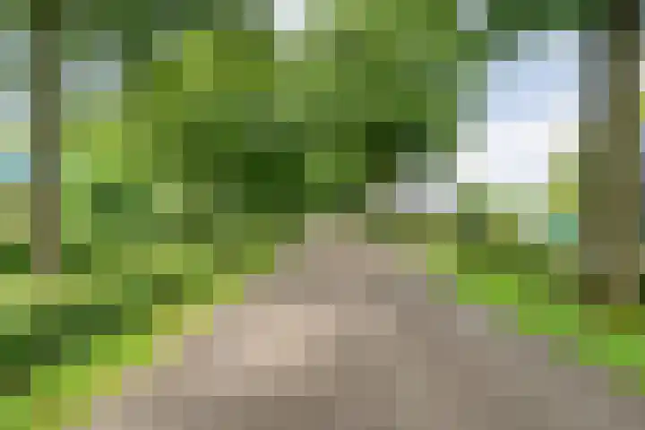 Stegerensallee 14 Dedemsvaart thumbnail 39