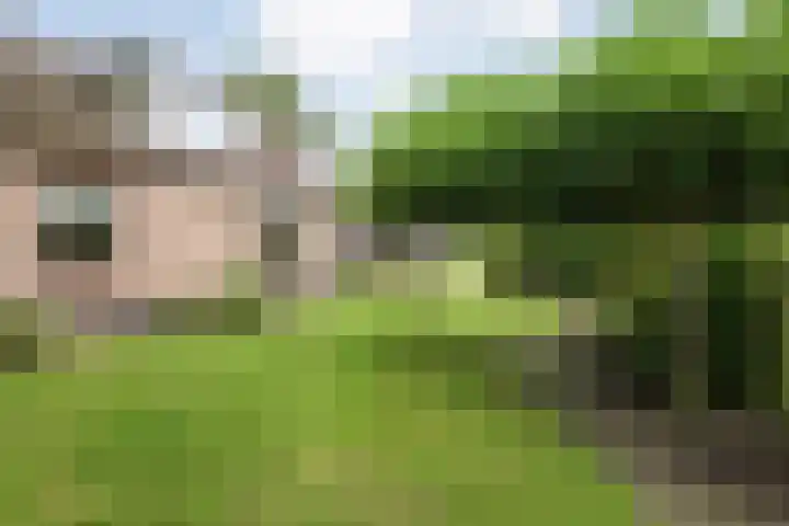 Stegerensallee 14 Dedemsvaart thumbnail 4