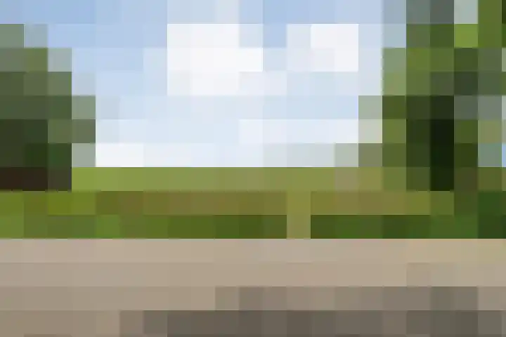 Stegerensallee 14 Dedemsvaart thumbnail 40