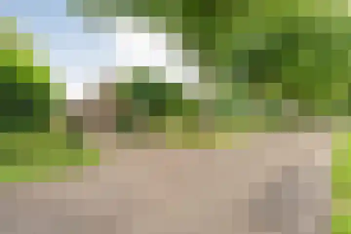Stegerensallee 14 Dedemsvaart thumbnail 41