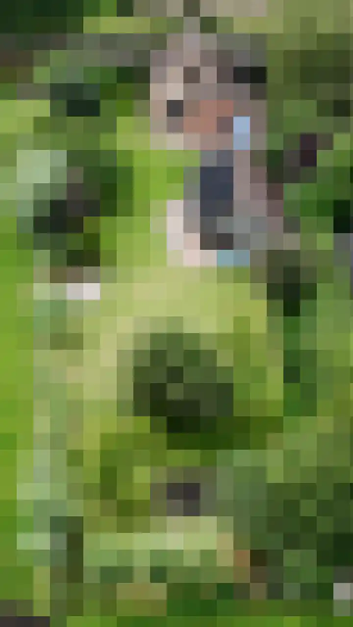 Stegerensallee 14 Dedemsvaart thumbnail 42