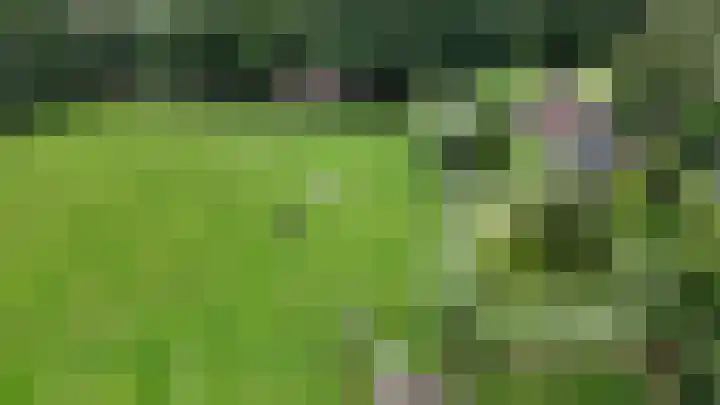 Stegerensallee 14 Dedemsvaart thumbnail 43