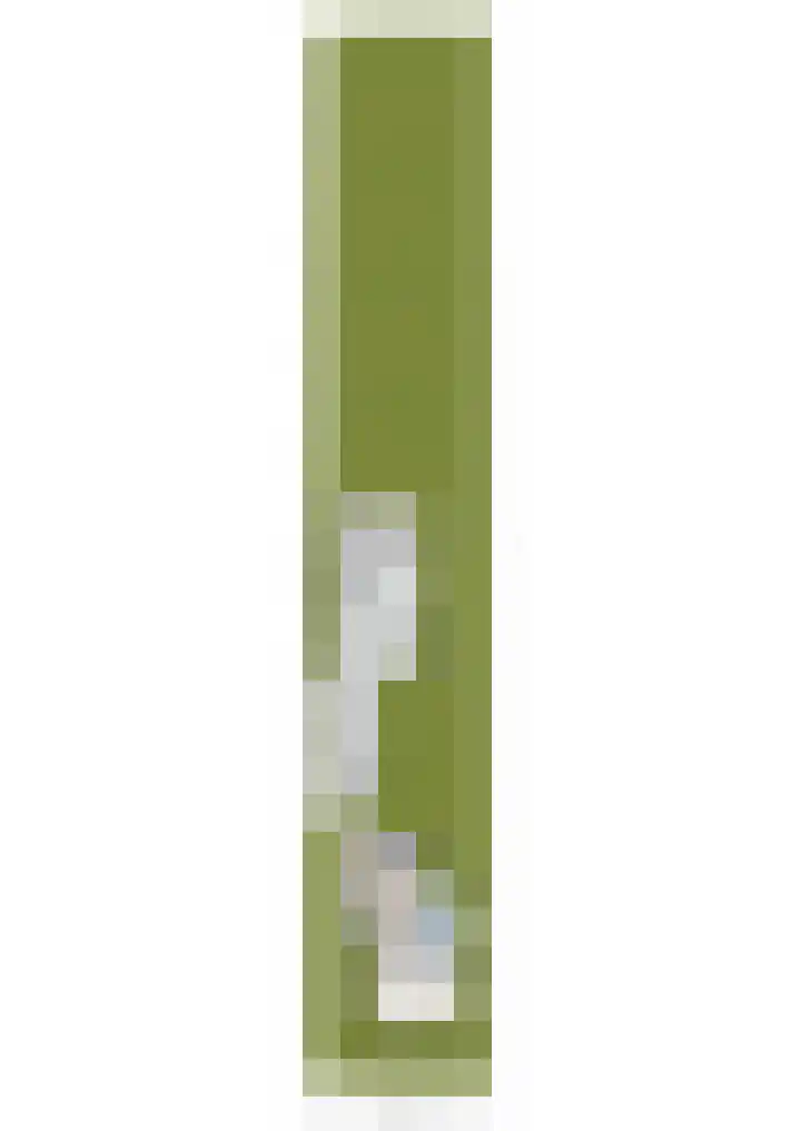 Stegerensallee 14 Dedemsvaart thumbnail 48
