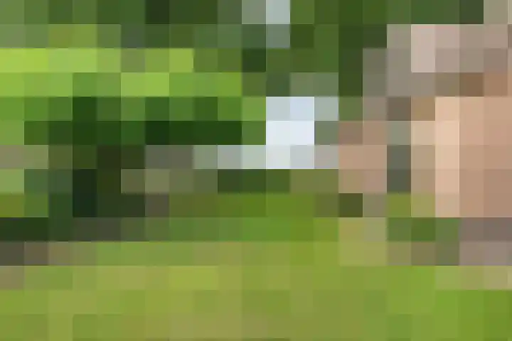 Stegerensallee 14 Dedemsvaart thumbnail 5