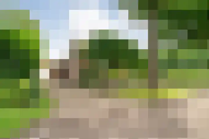 Stegerensallee 14 Dedemsvaart thumbnail 50