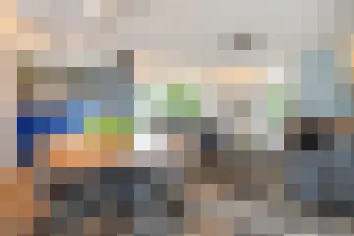 Stegerensallee 14 Dedemsvaart thumbnail 6
