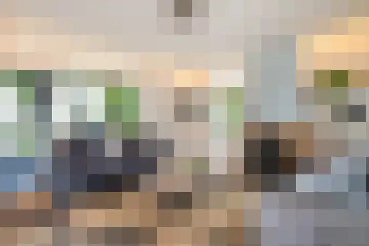 Stegerensallee 14 Dedemsvaart thumbnail 7