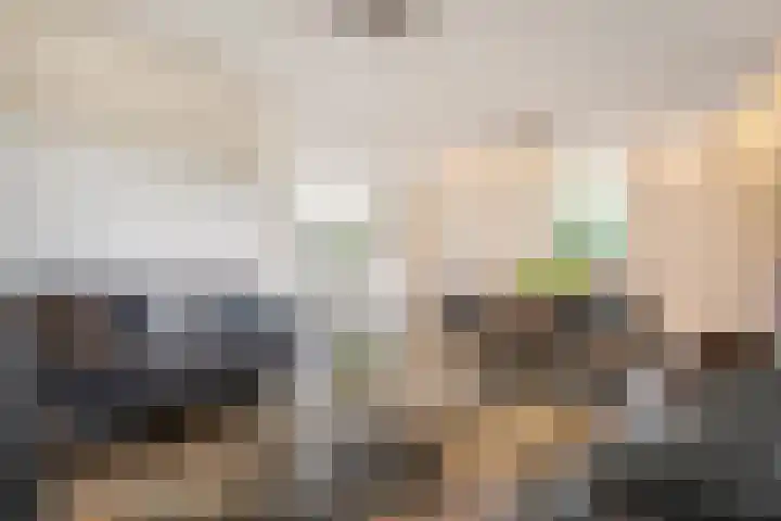 Stegerensallee 14 Dedemsvaart thumbnail 8