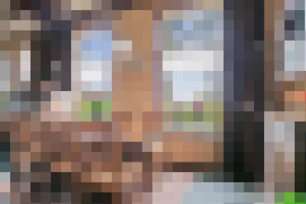 Stegerensallee 23 Dedemsvaart thumbnail 14