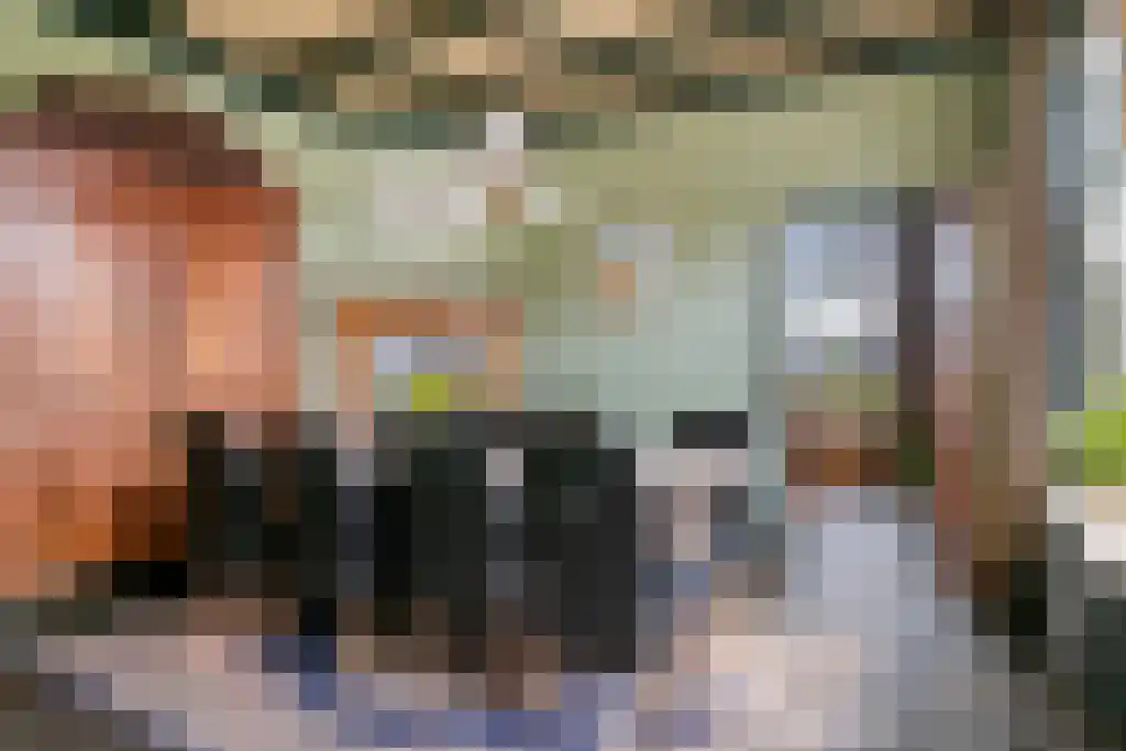 Stegerensallee 23 Dedemsvaart thumbnail 15