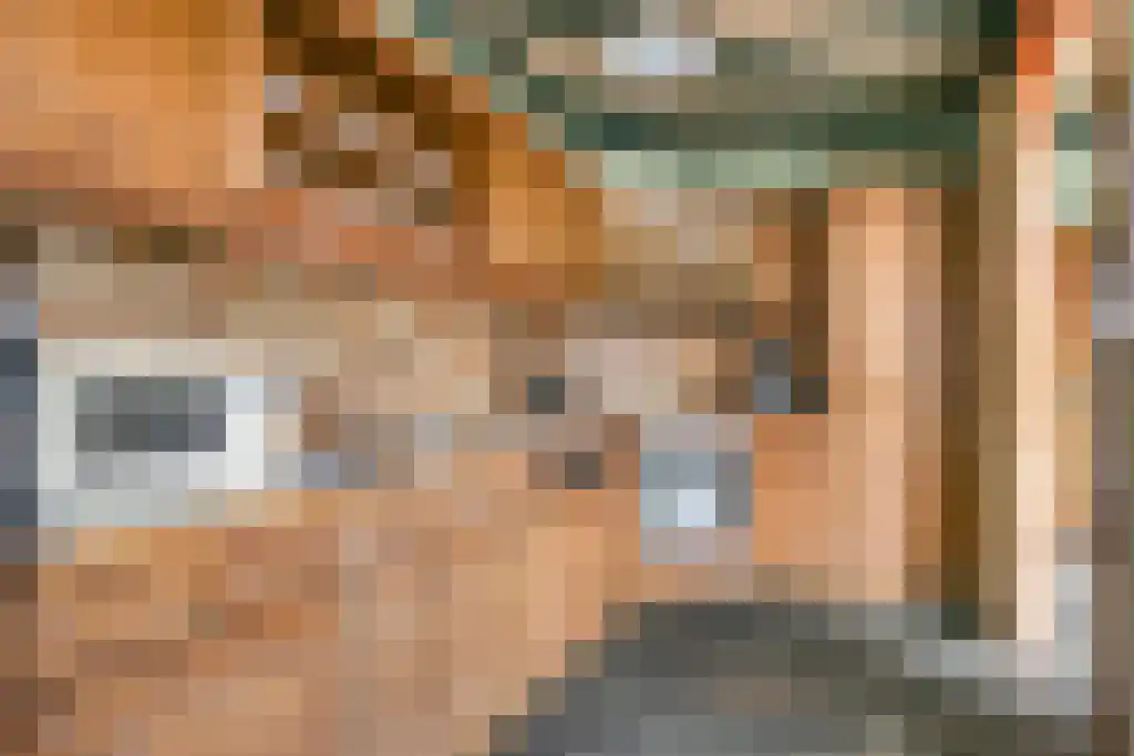 Stegerensallee 23 Dedemsvaart thumbnail 18