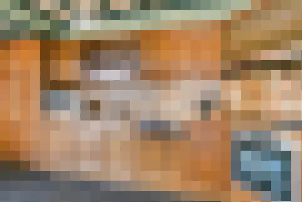 Stegerensallee 23 Dedemsvaart thumbnail 19