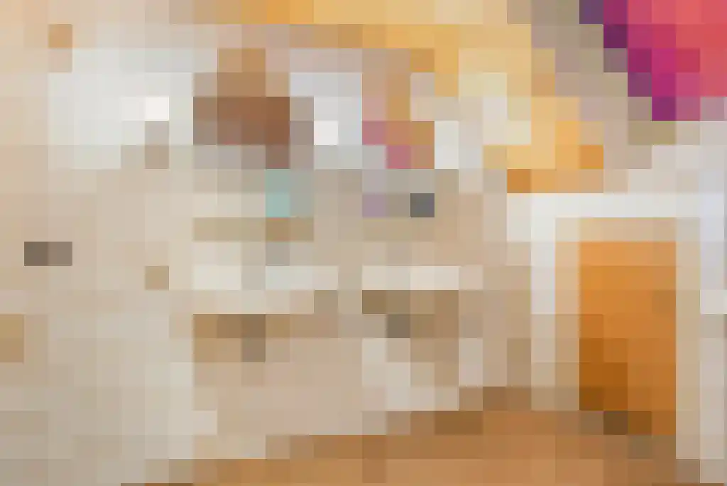 Stegerensallee 23 Dedemsvaart thumbnail 22