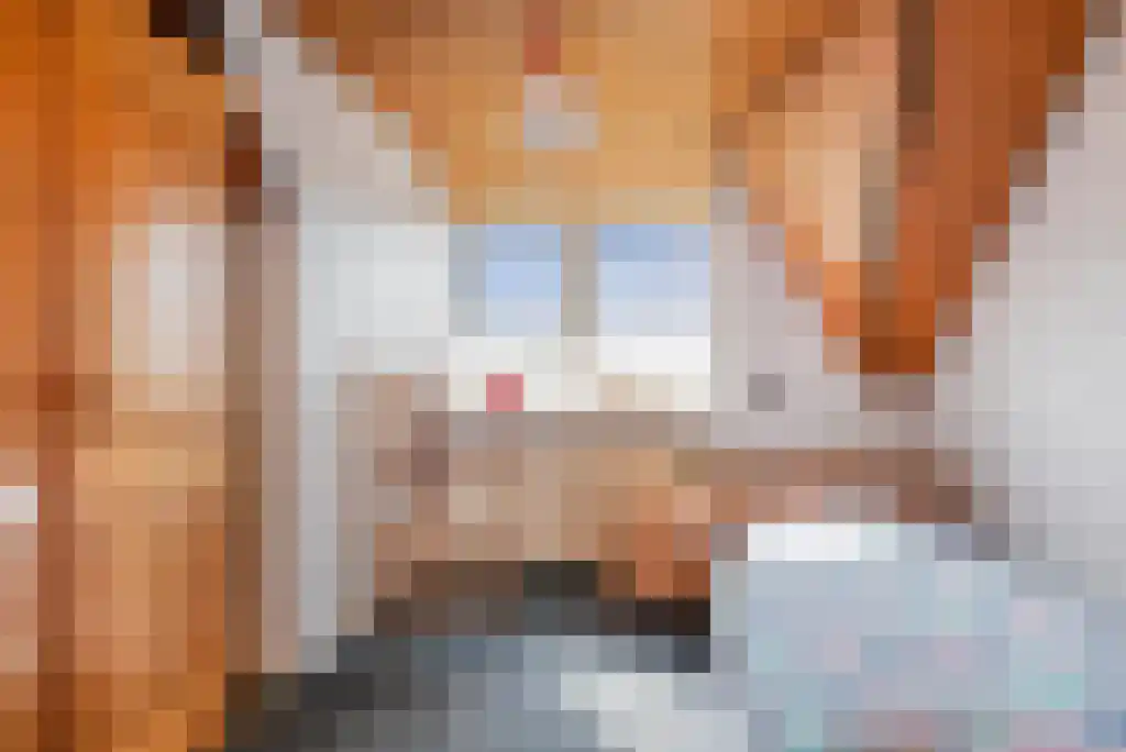 Stegerensallee 23 Dedemsvaart thumbnail 24