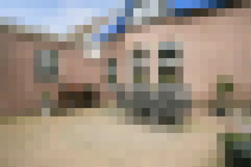 Stegerensallee 23 Dedemsvaart thumbnail 28