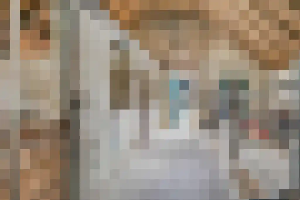 Stegerensallee 23 Dedemsvaart thumbnail 31