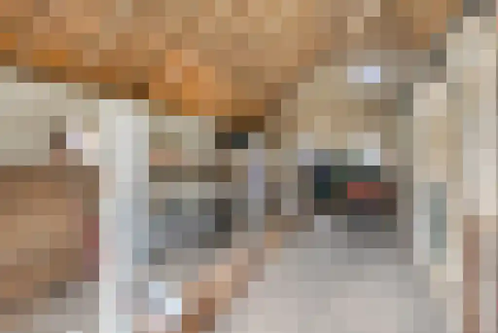 Stegerensallee 23 Dedemsvaart thumbnail 32