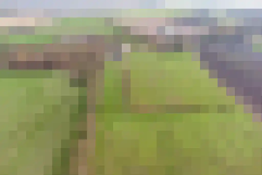 Stegerensallee 23 Dedemsvaart thumbnail 41
