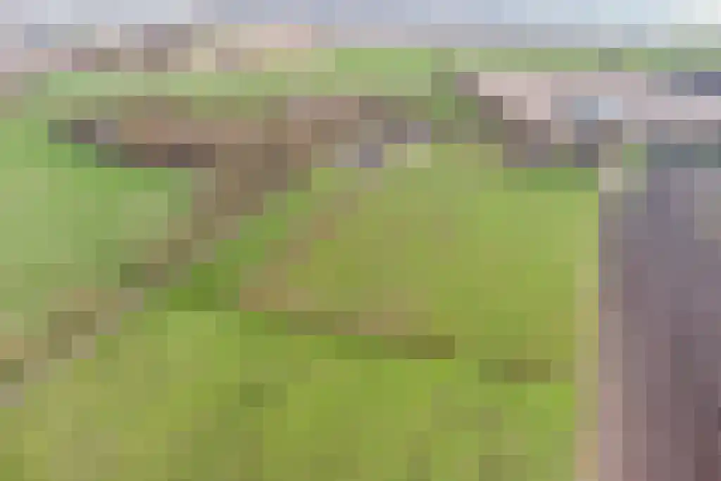 Stegerensallee 23 Dedemsvaart thumbnail 42