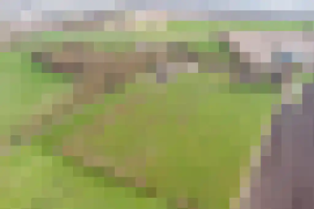Stegerensallee 23 Dedemsvaart thumbnail 43