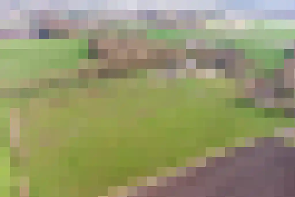 Stegerensallee 23 Dedemsvaart thumbnail 44