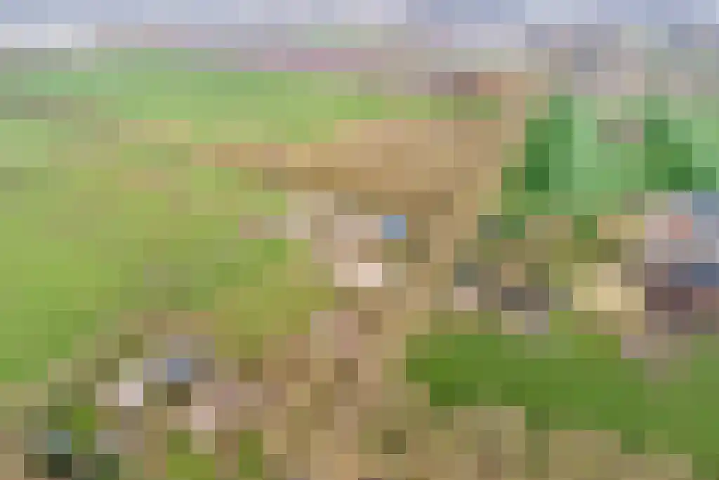 Stegerensallee 23 Dedemsvaart thumbnail 45