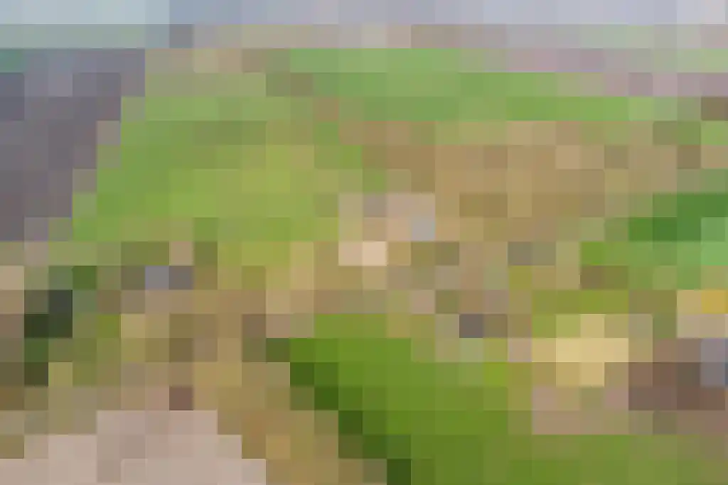 Stegerensallee 23 Dedemsvaart thumbnail 46