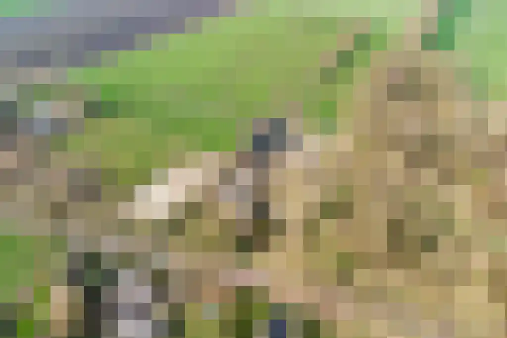 Stegerensallee 23 Dedemsvaart thumbnail 47