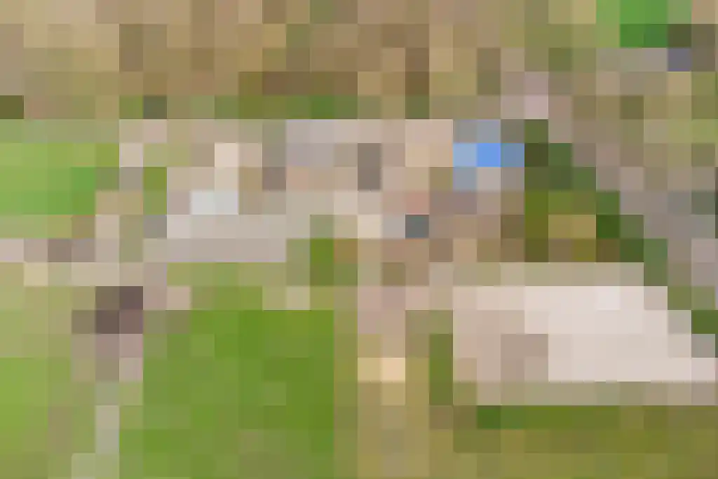 Stegerensallee 23 Dedemsvaart thumbnail 50