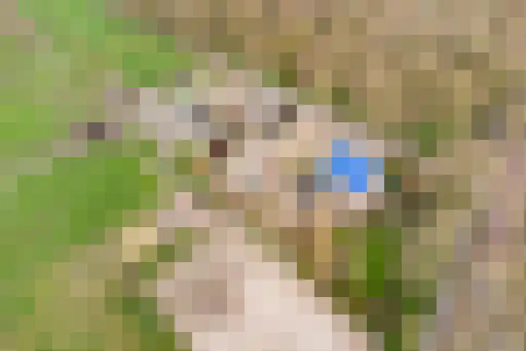 Stegerensallee 23 Dedemsvaart thumbnail 51