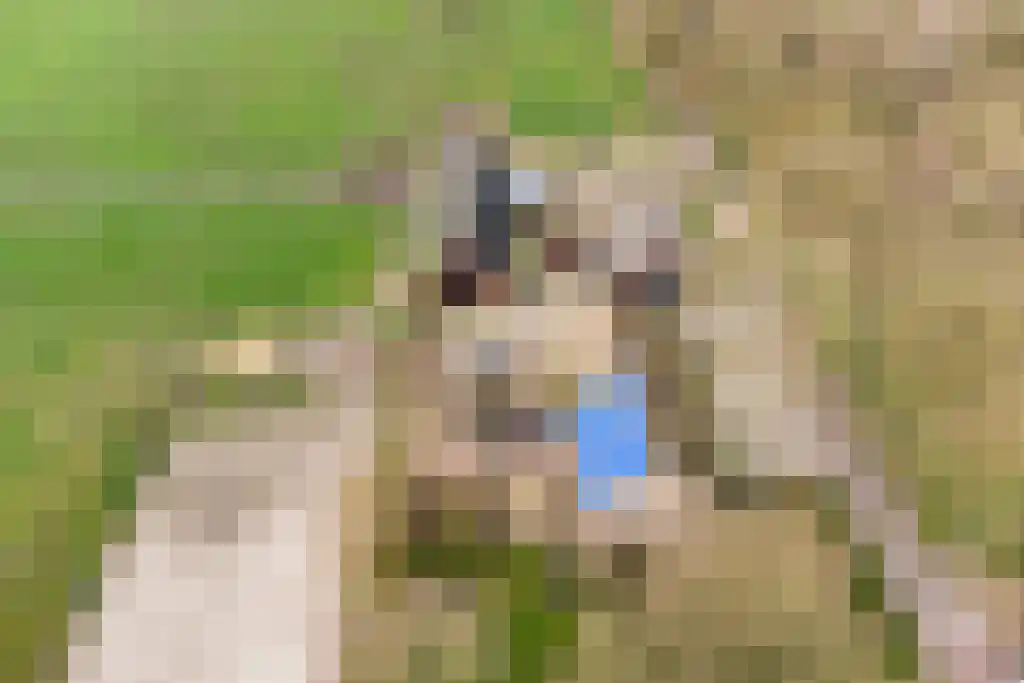 Stegerensallee 23 Dedemsvaart thumbnail 52