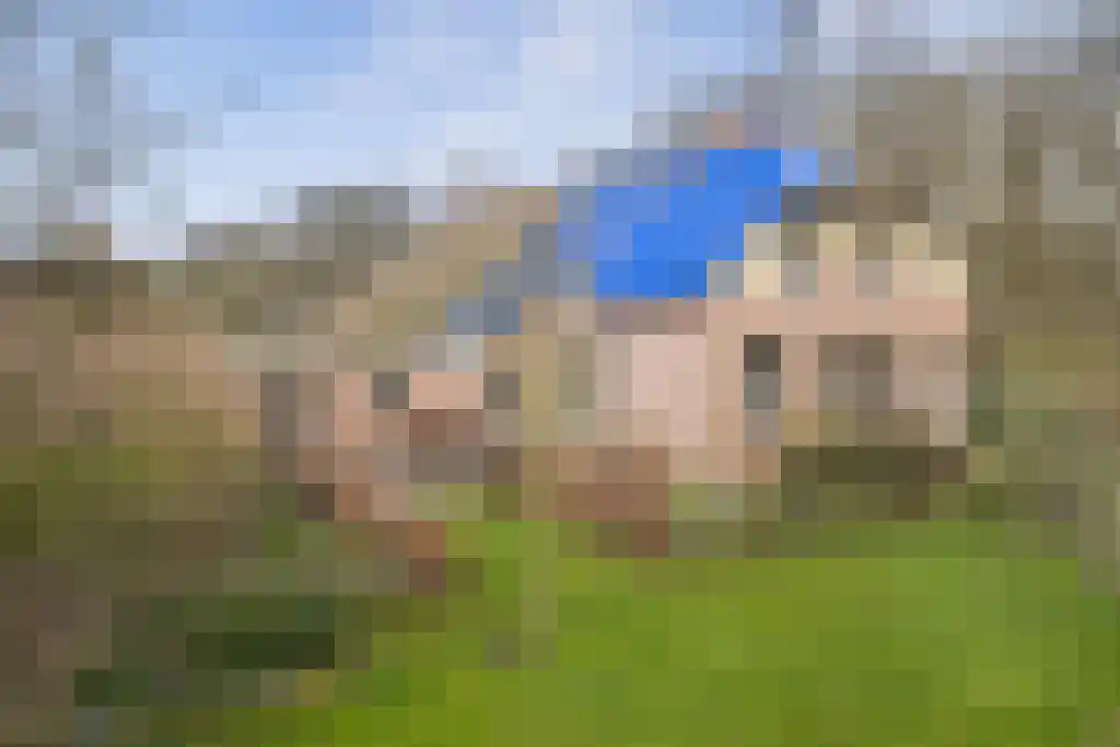 Stegerensallee 23 Dedemsvaart thumbnail 54