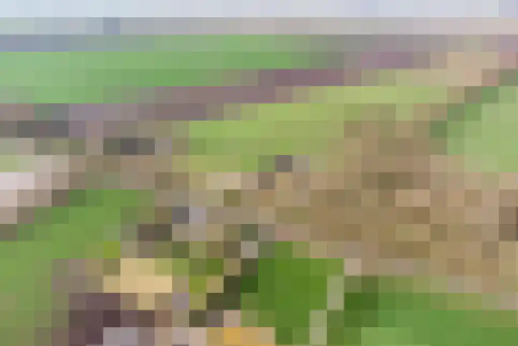 Stegerensallee 23 Dedemsvaart thumbnail 55