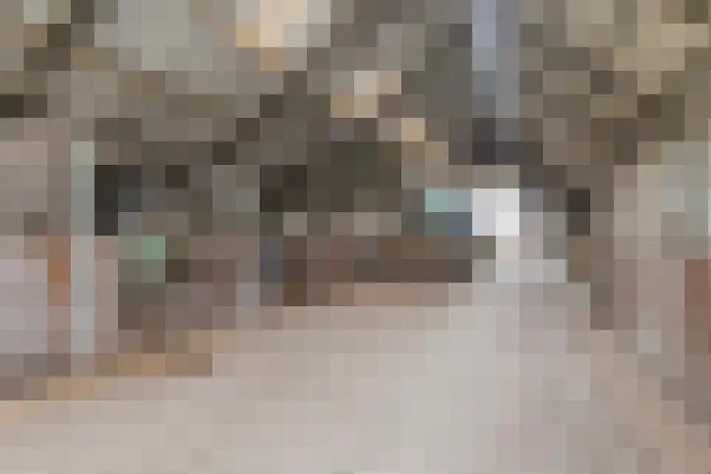 Stegerensallee 23 Dedemsvaart thumbnail 7