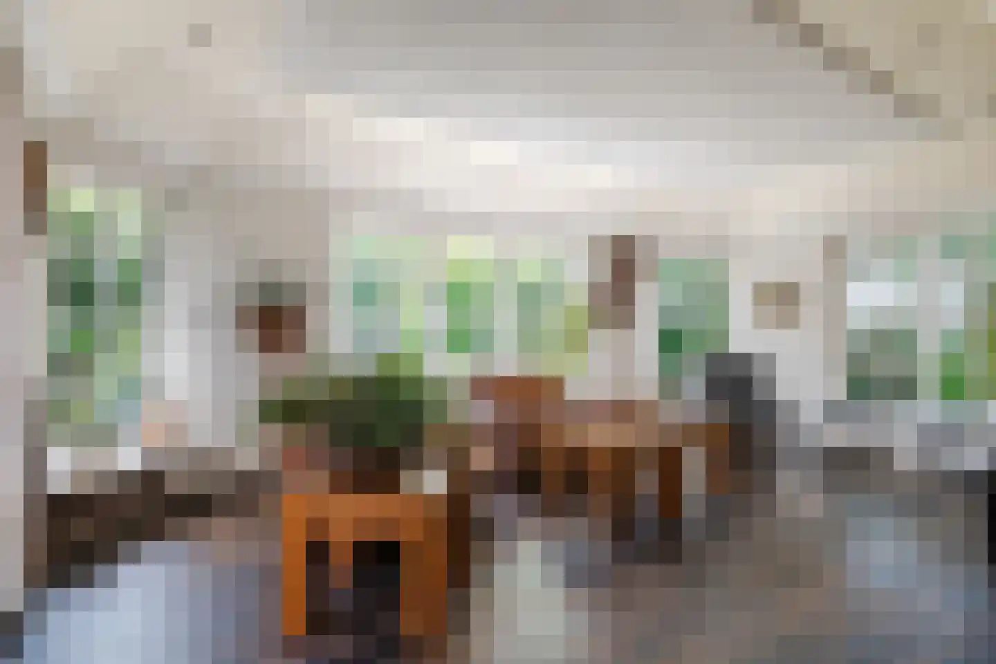 Stegerensallee 44 Dedemsvaart thumbnail 11