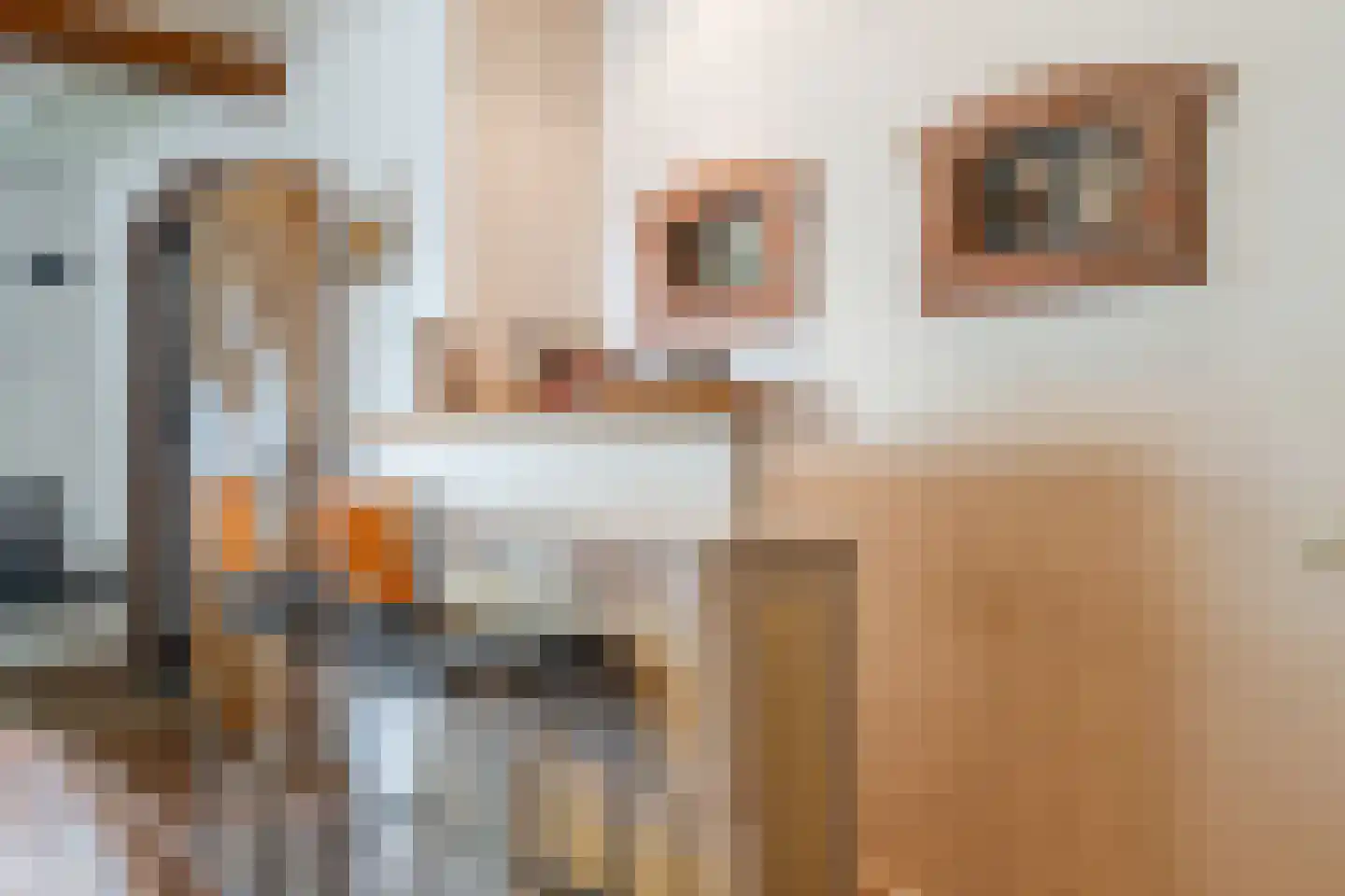 Stegerensallee 44 Dedemsvaart thumbnail 14