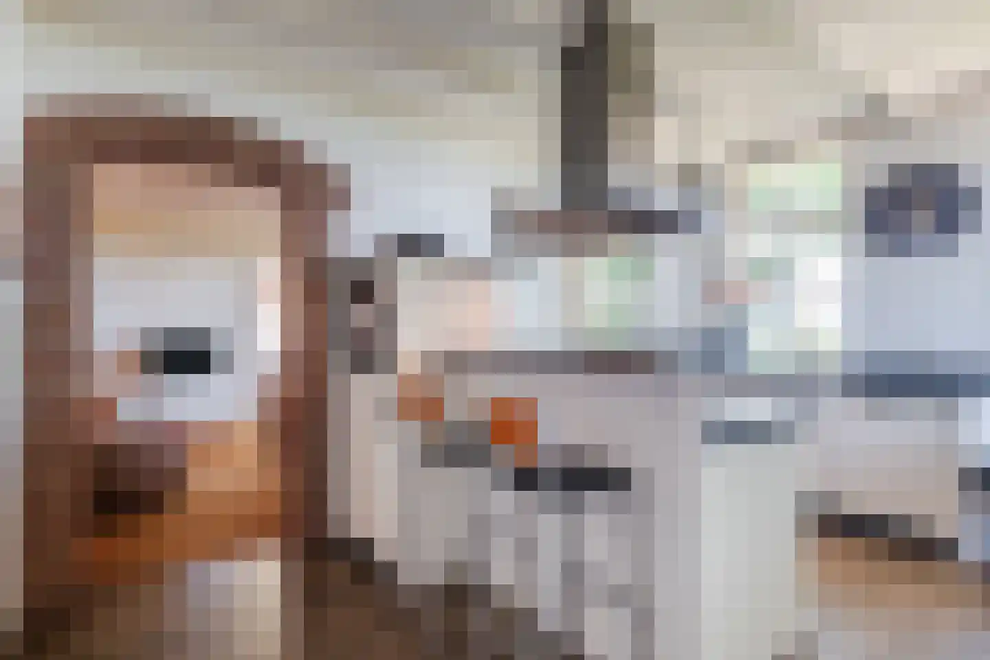 Stegerensallee 44 Dedemsvaart thumbnail 16