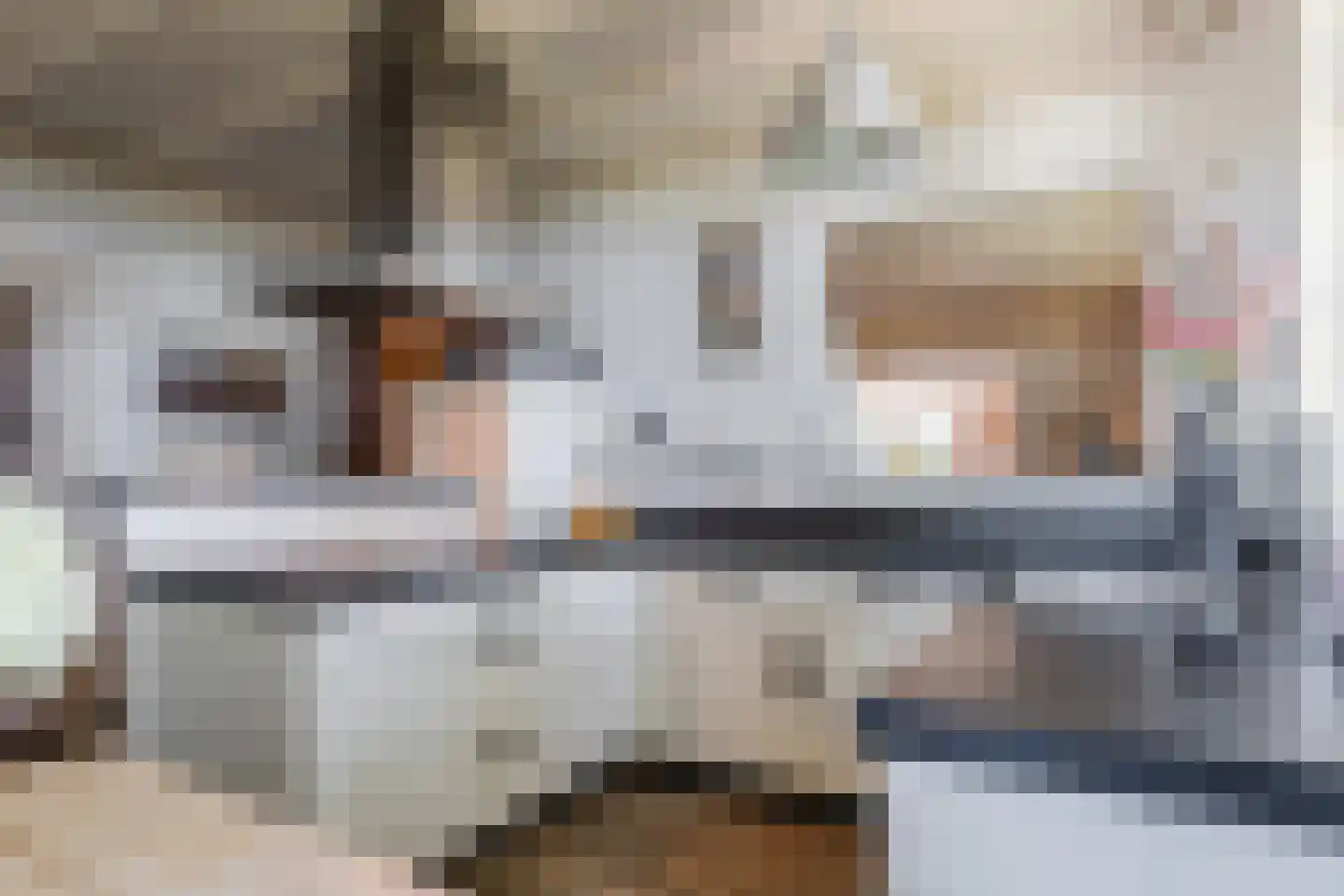 Stegerensallee 44 Dedemsvaart thumbnail 17