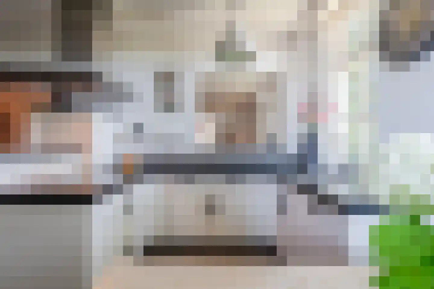Stegerensallee 44 Dedemsvaart thumbnail 18