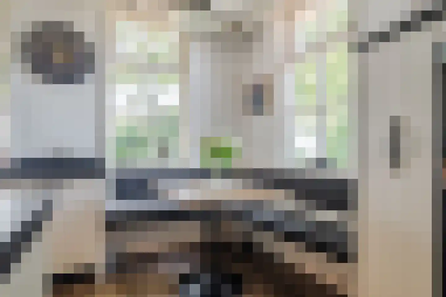 Stegerensallee 44 Dedemsvaart thumbnail 19
