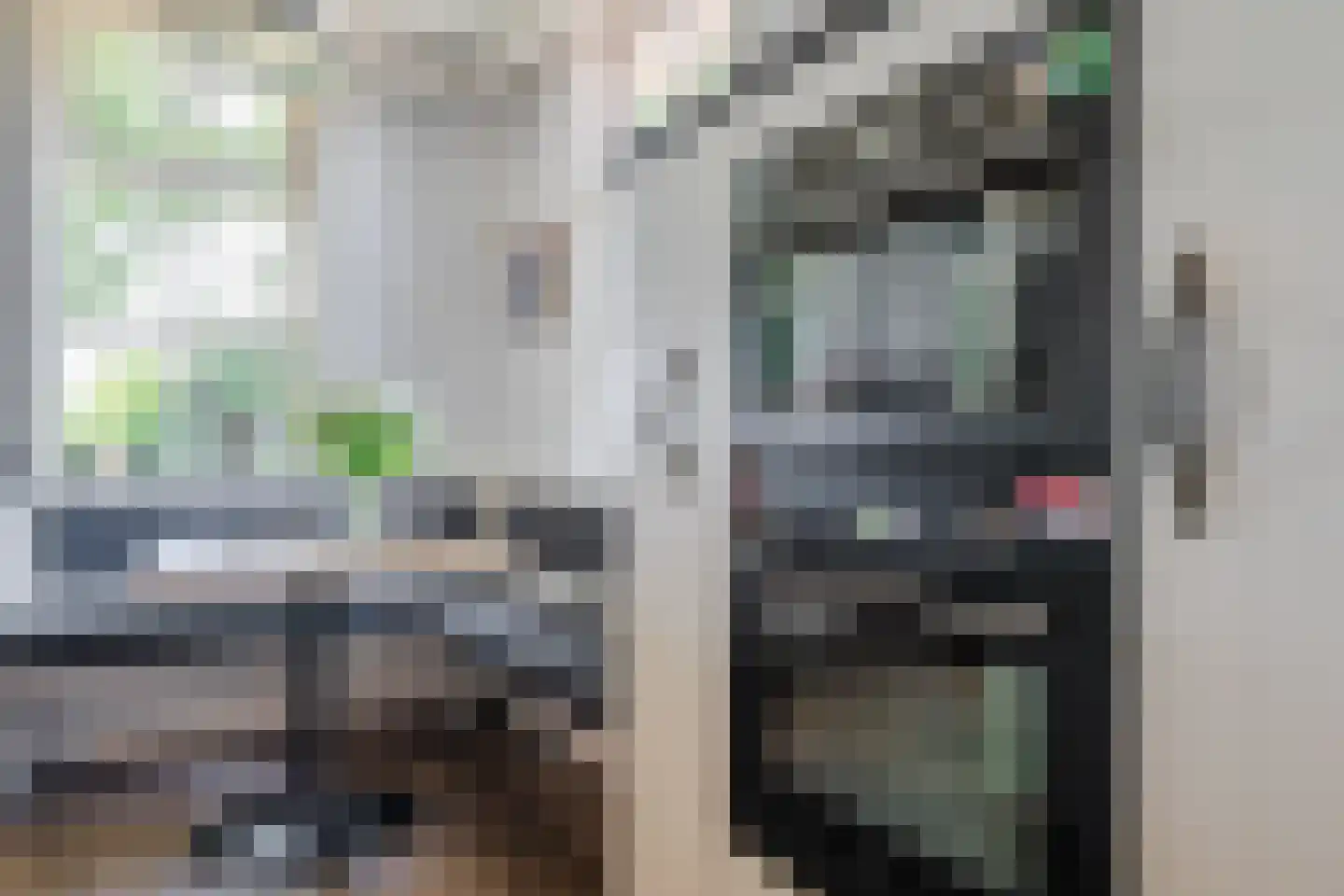 Stegerensallee 44 Dedemsvaart thumbnail 20