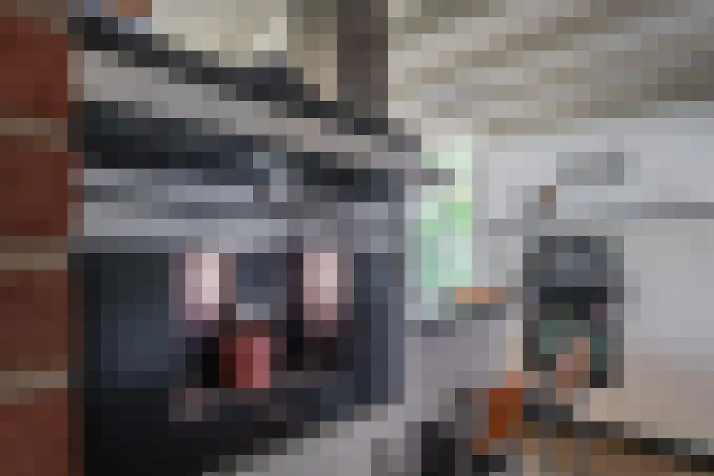 Stegerensallee 44 Dedemsvaart thumbnail 21