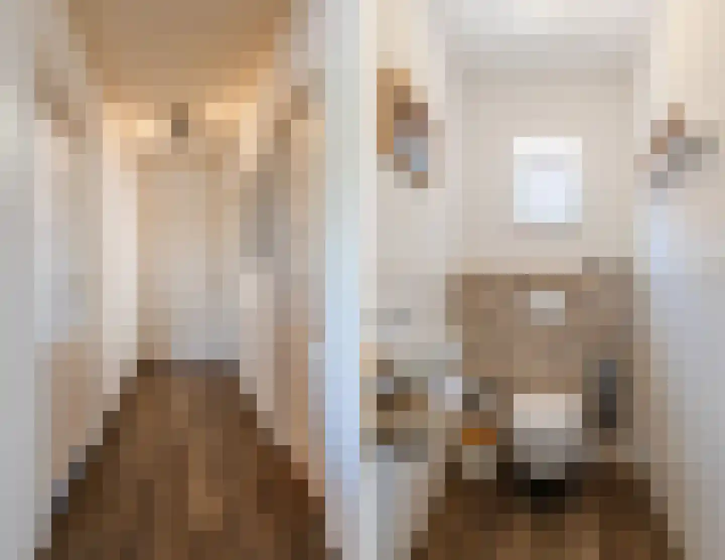 Stegerensallee 44 Dedemsvaart thumbnail 22